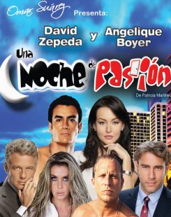 Una Noche De Pasión (2012)